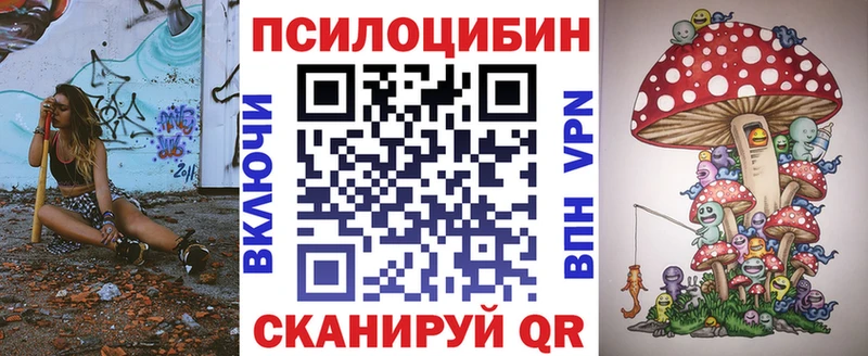 Купить где  Духовщина  Галлюциногенные грибы Magic Shrooms 
